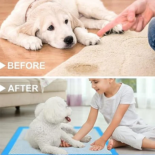Luxury 6 layer absorbent Waterproof disposable training pet puppy dog pee pads