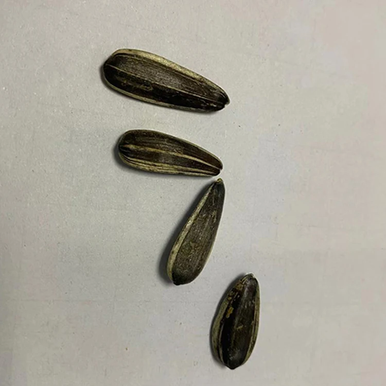 
Hot selling high quality china sunflower seeds snacks sunflower seeds for sale 