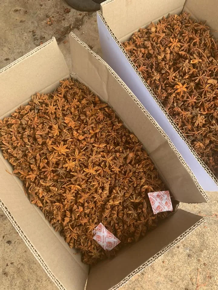 BROKEN STAR ANSIE CHEAP PRICE FOR GRINDING PURPOSE STAR ANISEED BROKEN STAR ANISE CHIPS