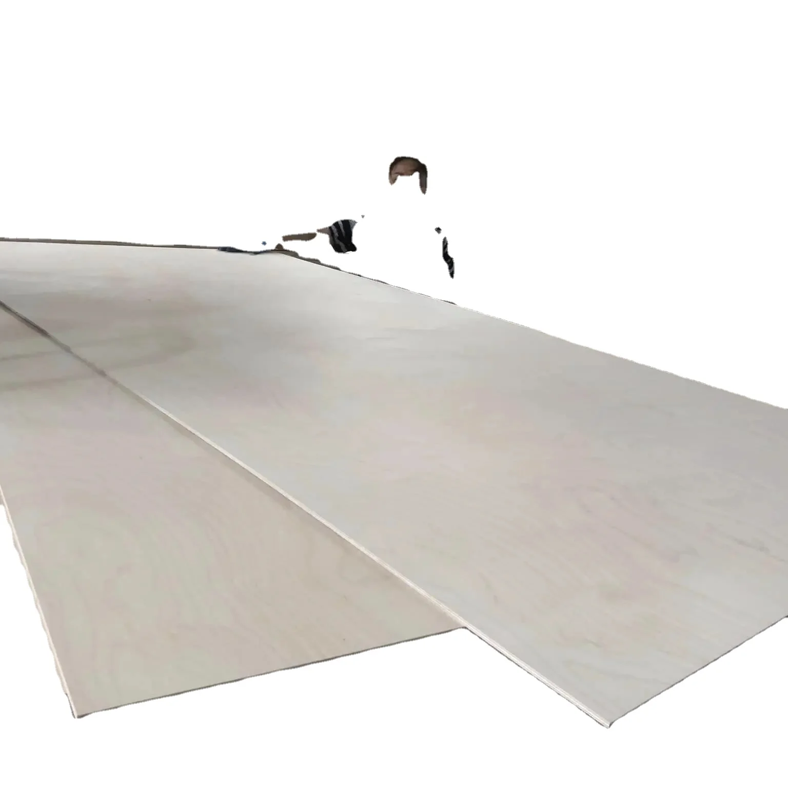 Wholesale Plywood Sheet 4x8 3mm 15mm 18mm  Russian Baltic Birch Plywood