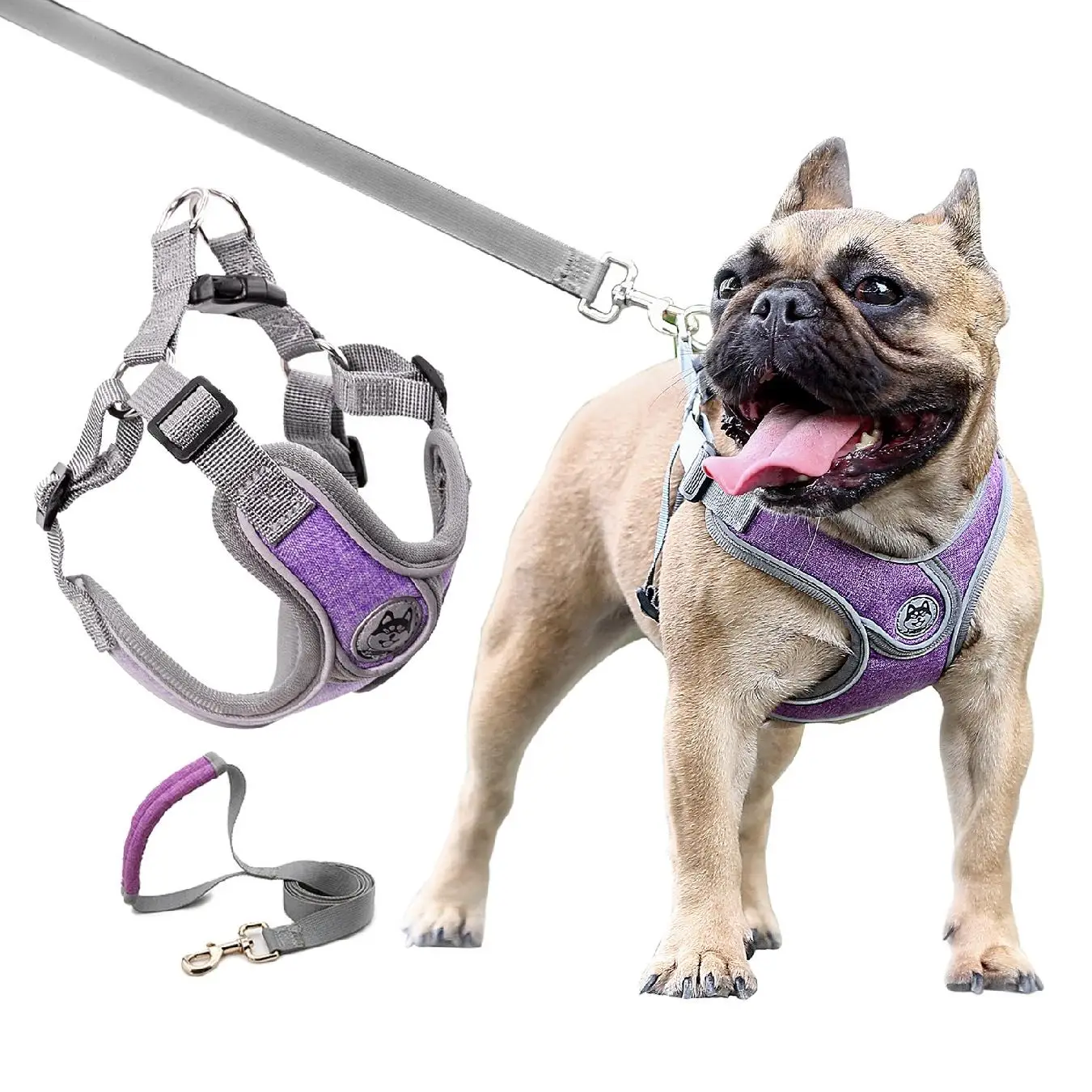 Wholesale 2 In 1  Retractable Suppliers Logo UK Adjustable Neoprene Hands Free Webbing Leashes Set Pet Custom Dog Harness