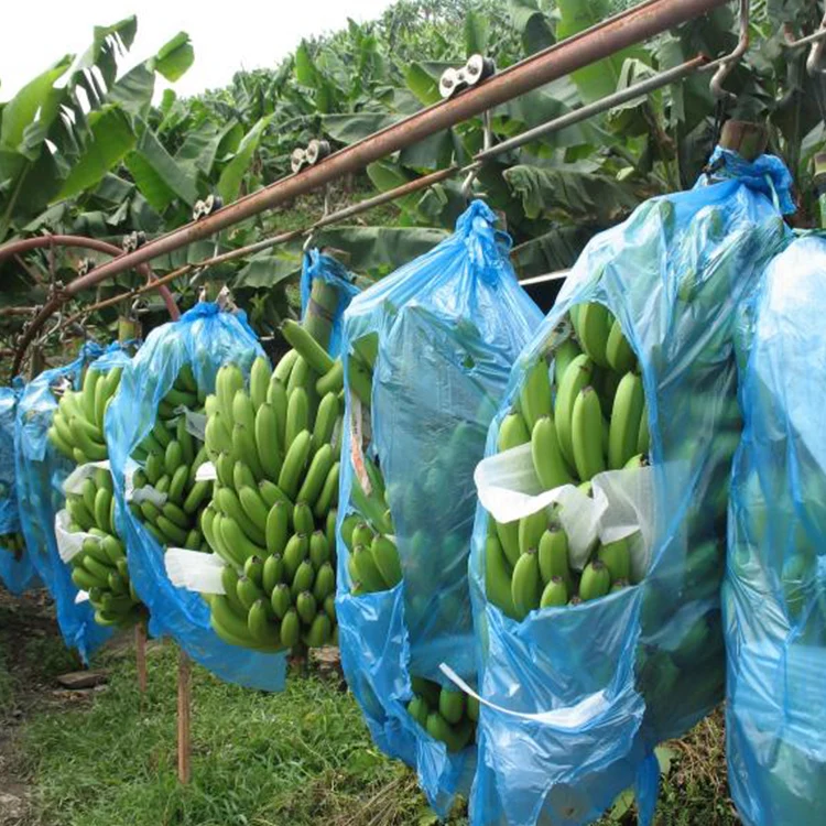 Fruit protection bags  agriculture banana bags  Non-woven fabric bags