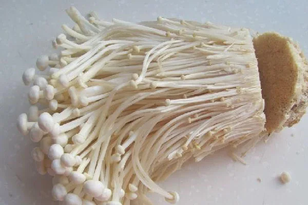 Sell fresh and high-quality flammulina velutipes