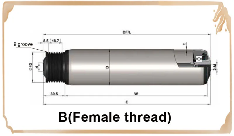 V-ribbed belt drive drum motor roller conveyor line