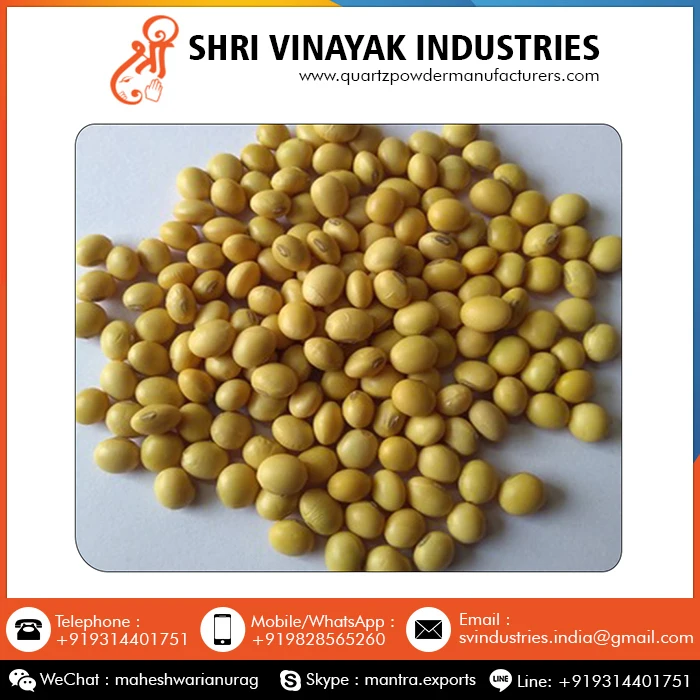 
Food Grains Organic Soybean Seeds 