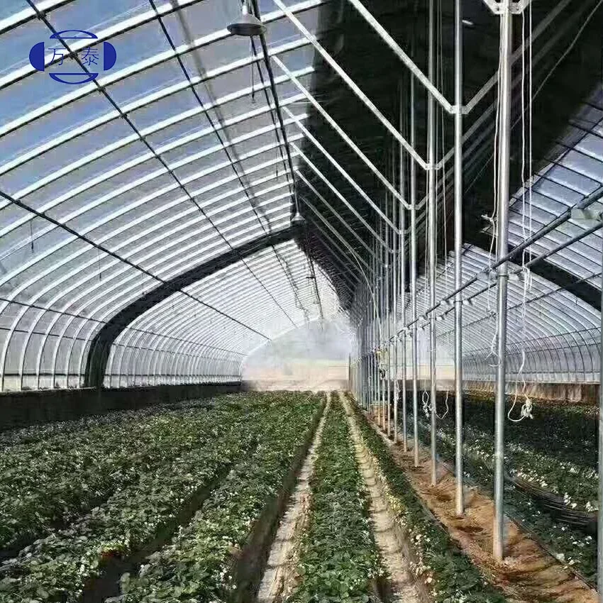 Factory price PO Film Single Span Greenhouse For Agriculture Easy Installation