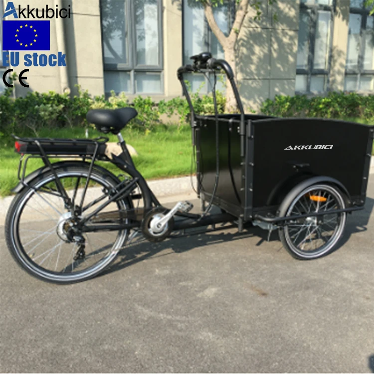 Akkubici CE 250w tricycles electrique 3 wheel electric cargo bicycle