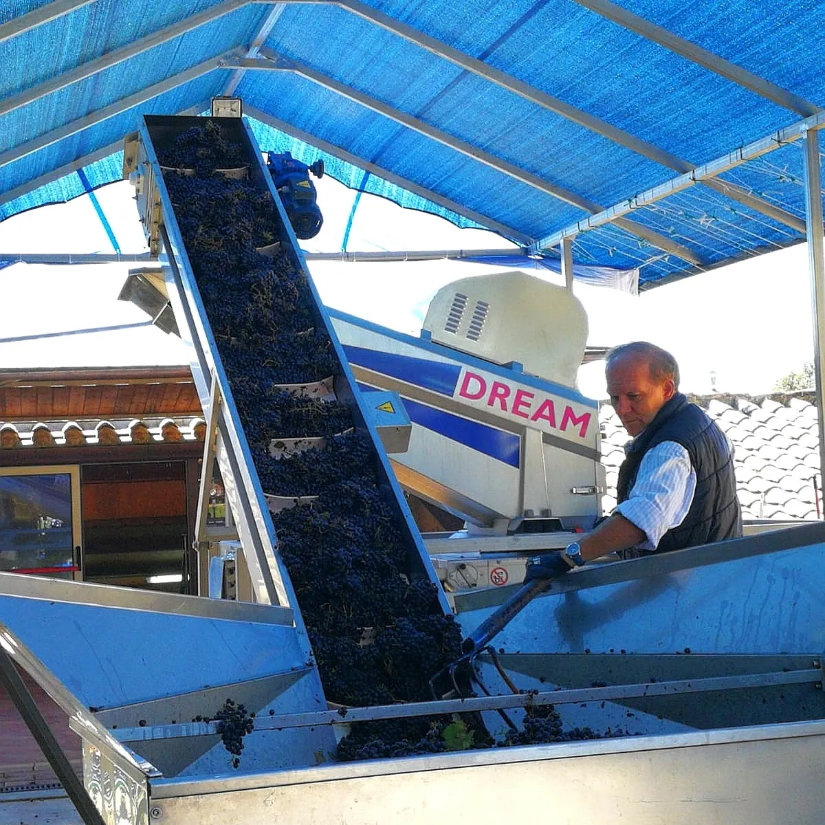 HOT SALE MADE IN ITALY RED WINE  Intense Ruby Red table  Dry  wine aperitif wine  DOCG 750ml FOR EXPORT