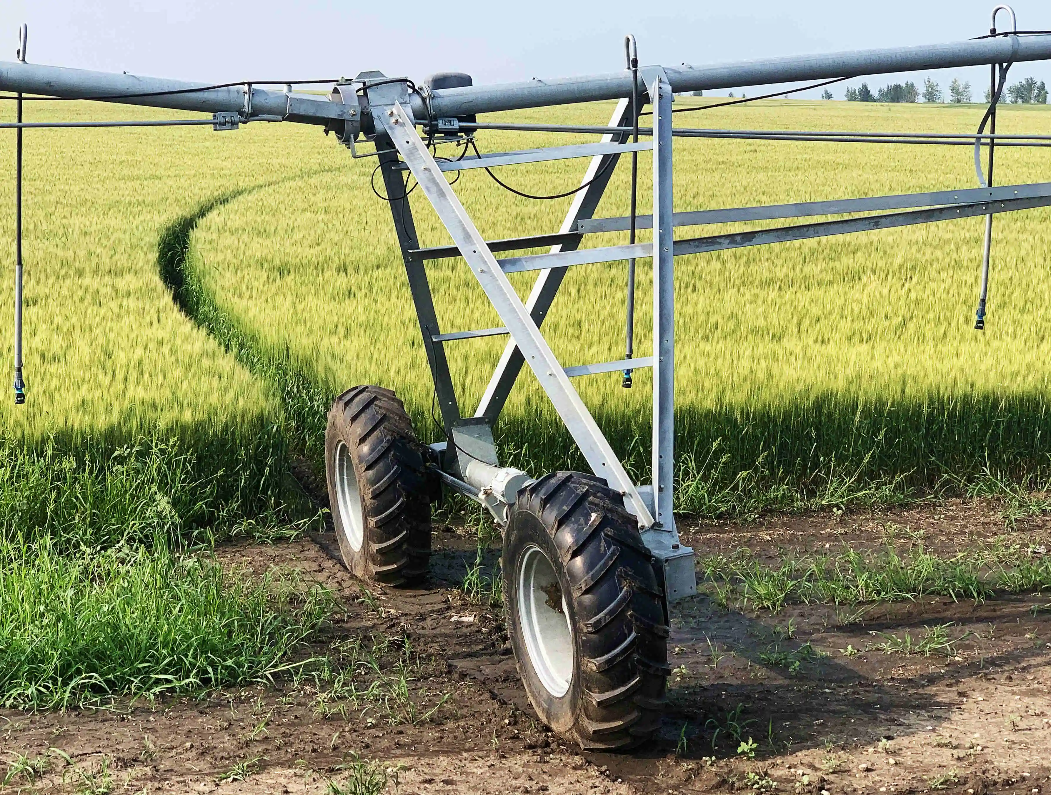 Modern Farm Center Pivot Irrigation System for Sale
