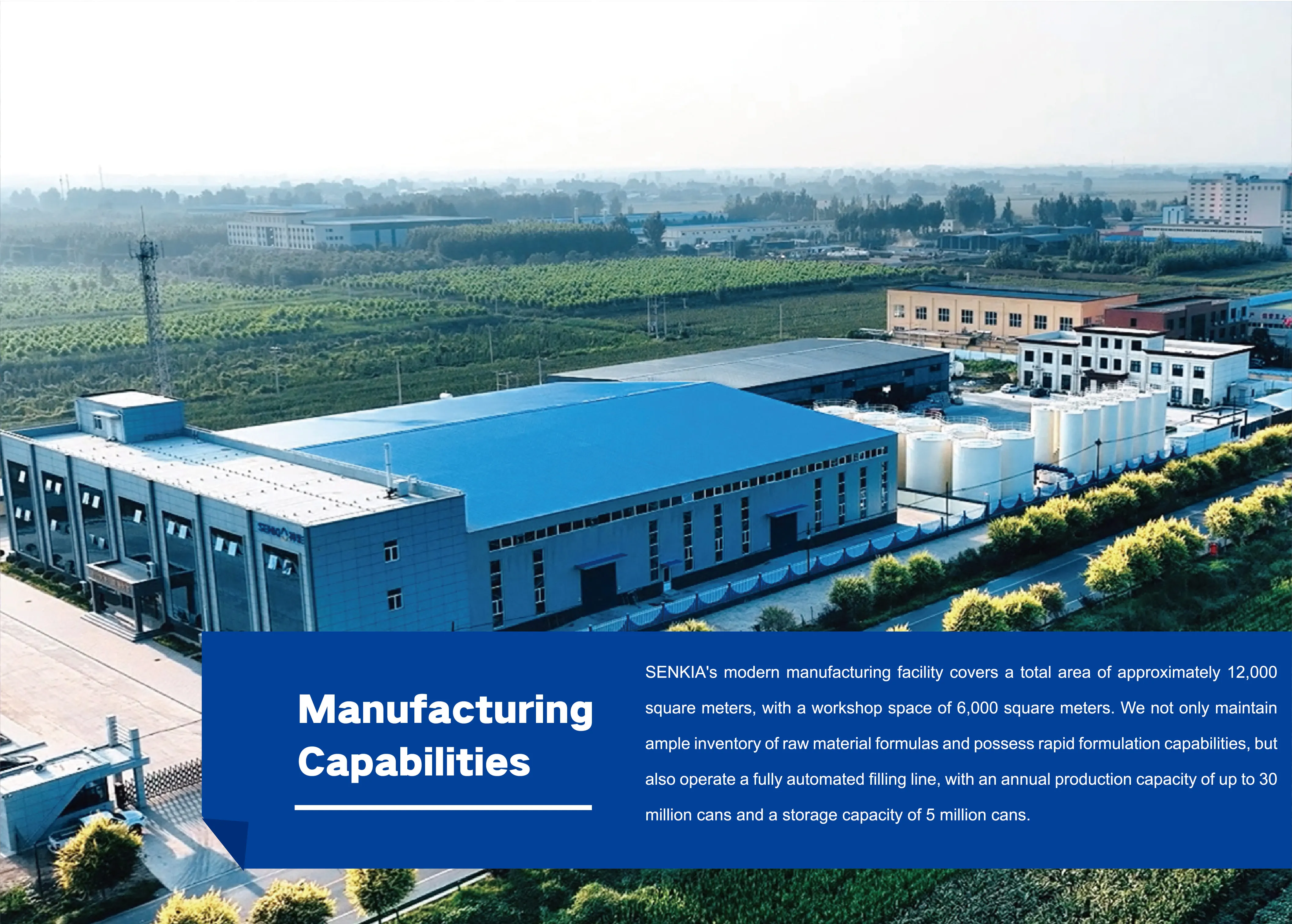 Senkia Advanced Technology Injector Cleaner Carburator Carb Cleaner for All Petrol Engine Vehicles Fuel Additives & Treatments