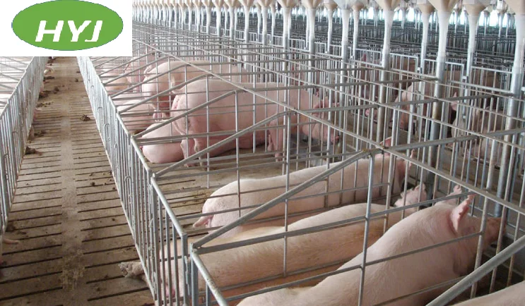 Double pig farming equipment farrowing crate / Piggery Gestation pens