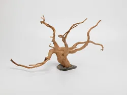 Fish Tank Landscaping Fish Aquarium Bonsai Drift Wood