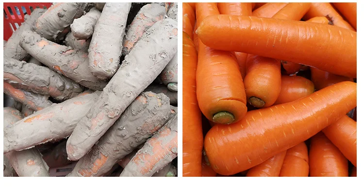 по низкой цене малая мощность Щётка машина для мытья Корнеплодов