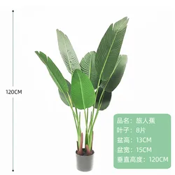 An interior window displays Nordic traveller bananas coconut tree high quality artificial trees