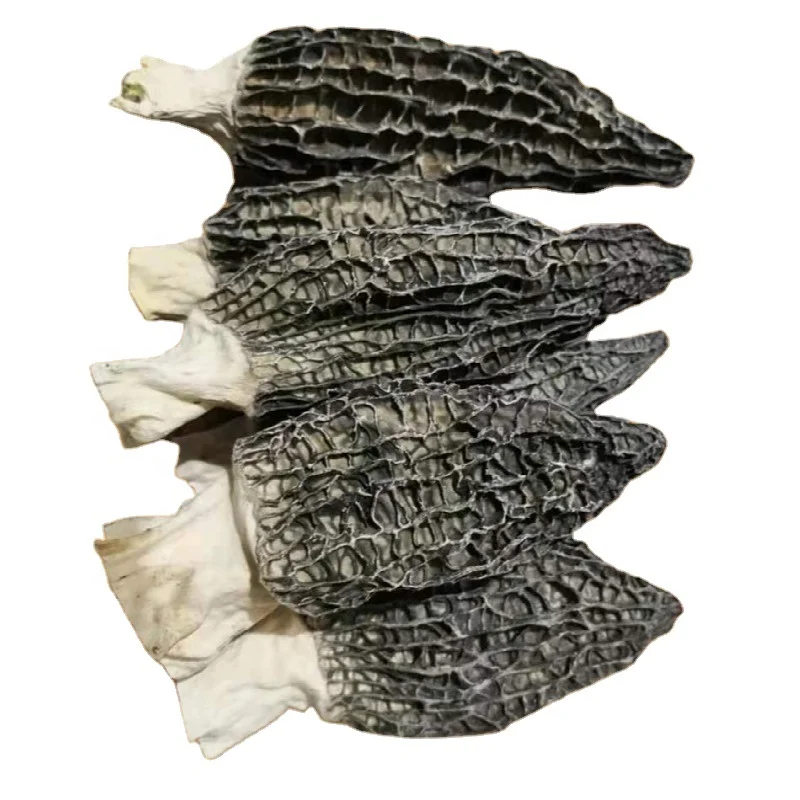 Заводская цена сушеный гриб Морель