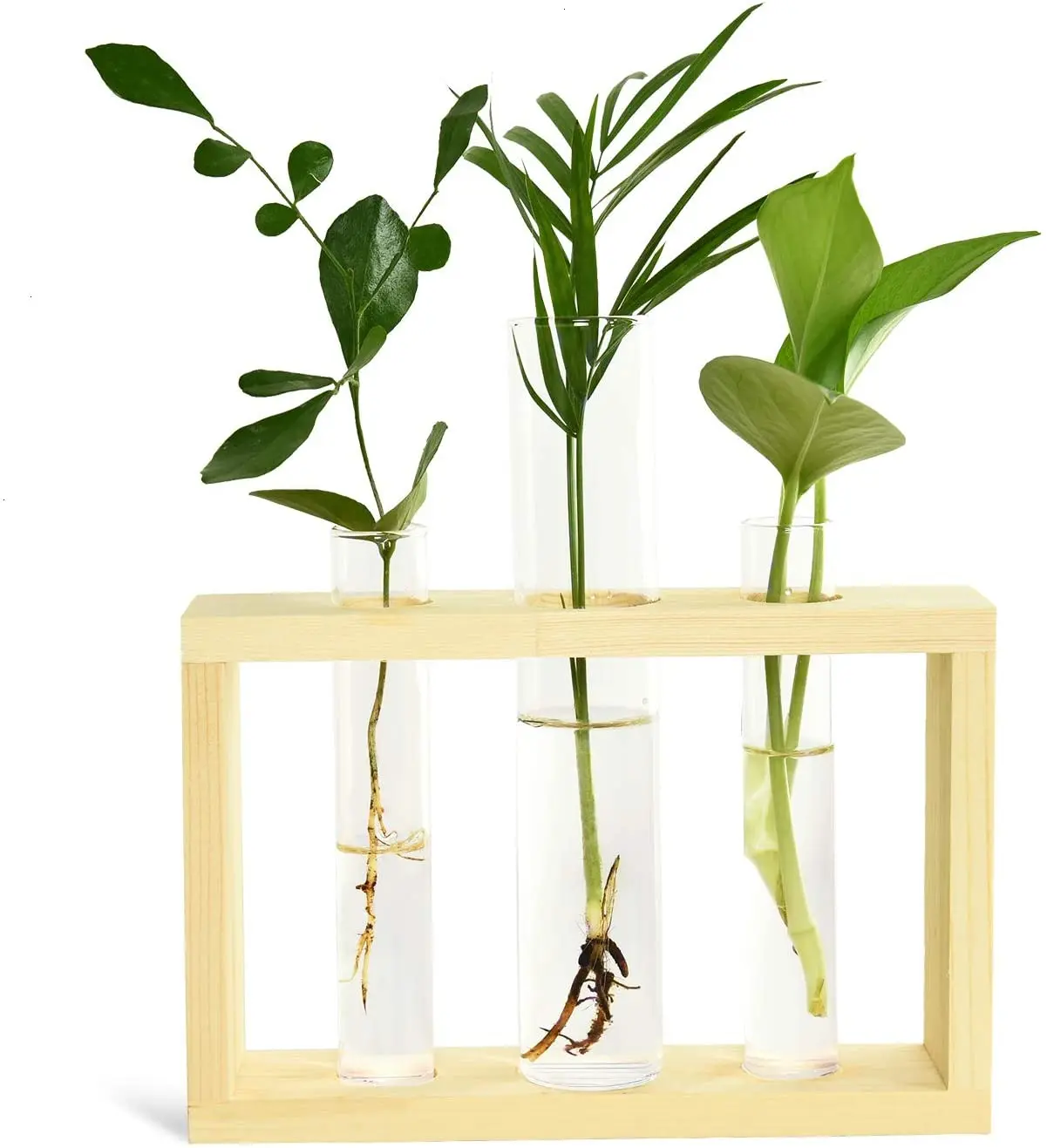 Test Tube Planter Plant Propagation Station Glass Terrarium Test Tube with Wood Stand for Propagating Hydroponic Plants Home Off