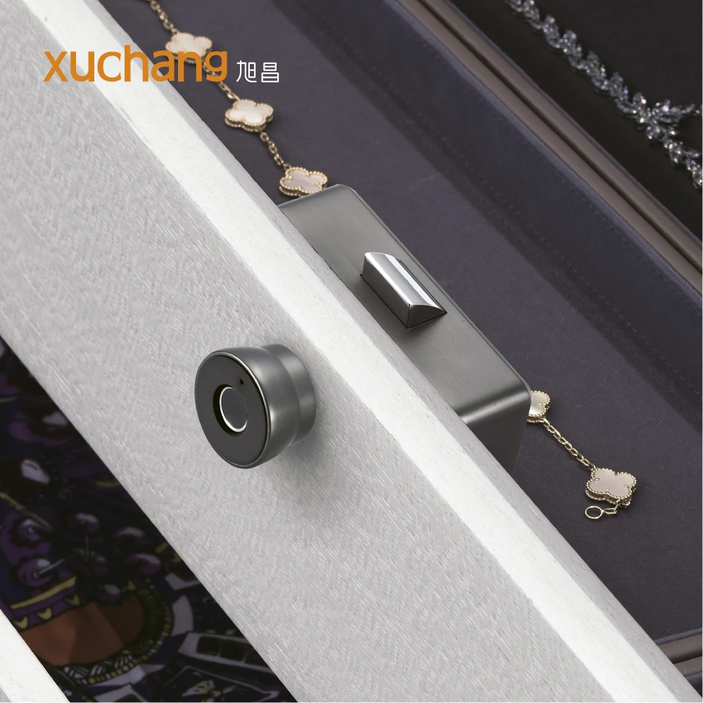 New Design Smart Fingerprint Drawer Knob