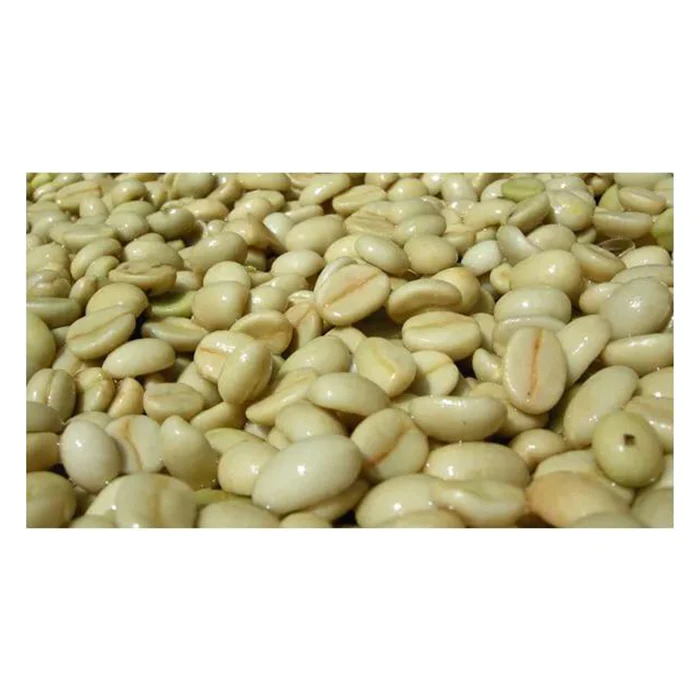 
Roasted fresh specialty grade arabica grinder whole sale coffee bean 