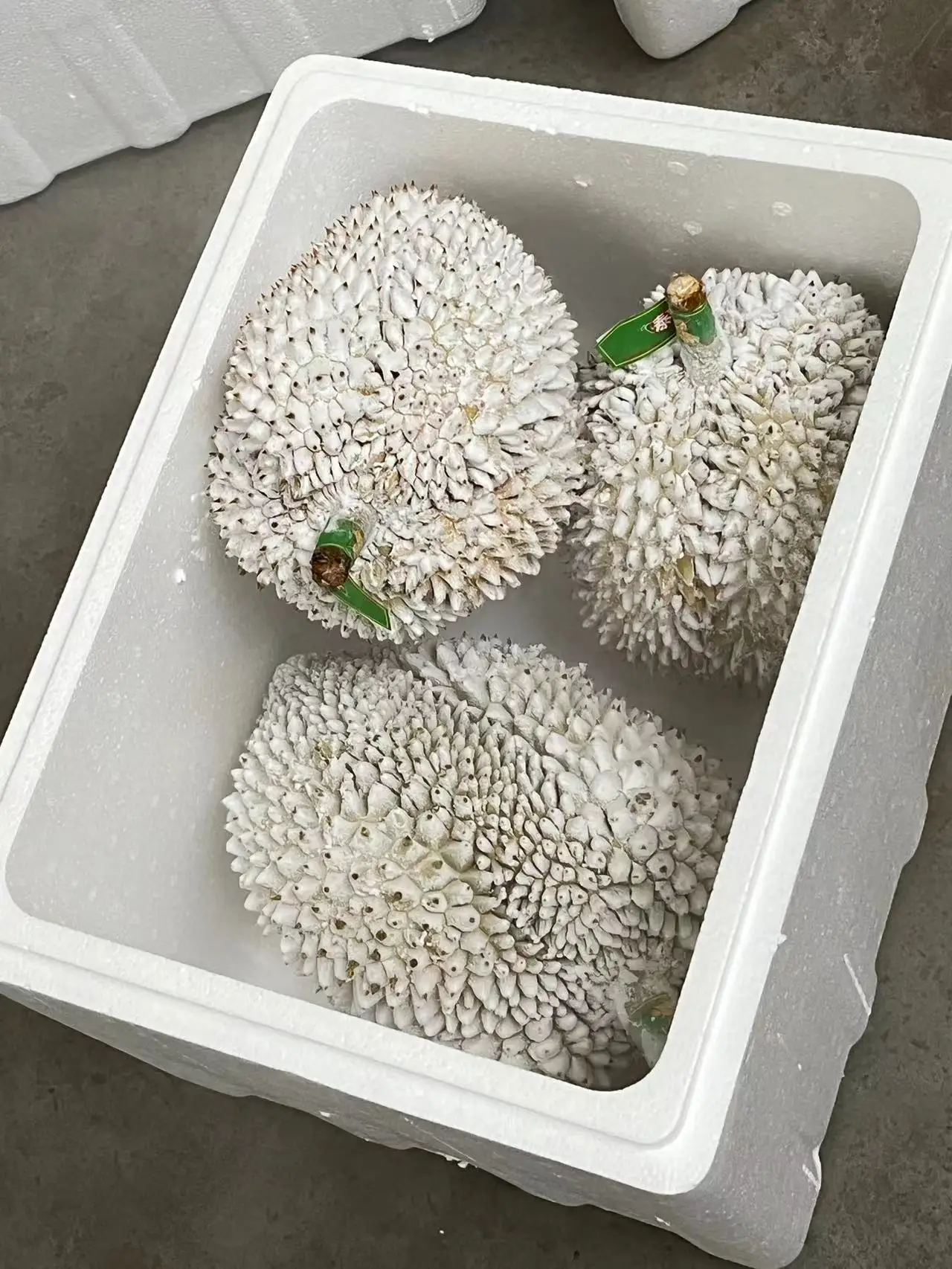 Liquid Nitrogen  Cabinet Type  Durian Instant Freezer