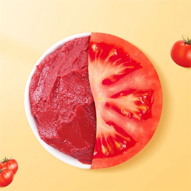 Custom Logo tomato sauce package tomato ketchup 3kg canned tomato paste