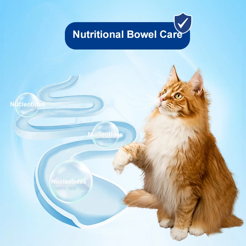 1.5 kg Custom Safety Chicken Meat Palatability Delicious De-hairballed Fresh Meat Complete Cat Food