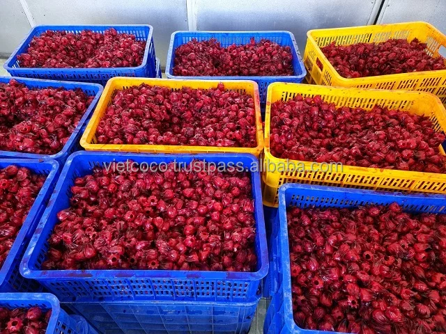 Soft Dried Hibiscus Sabdariffa Flower Tea Made from 100% Fresh Natural Ingredient with the Best Quality