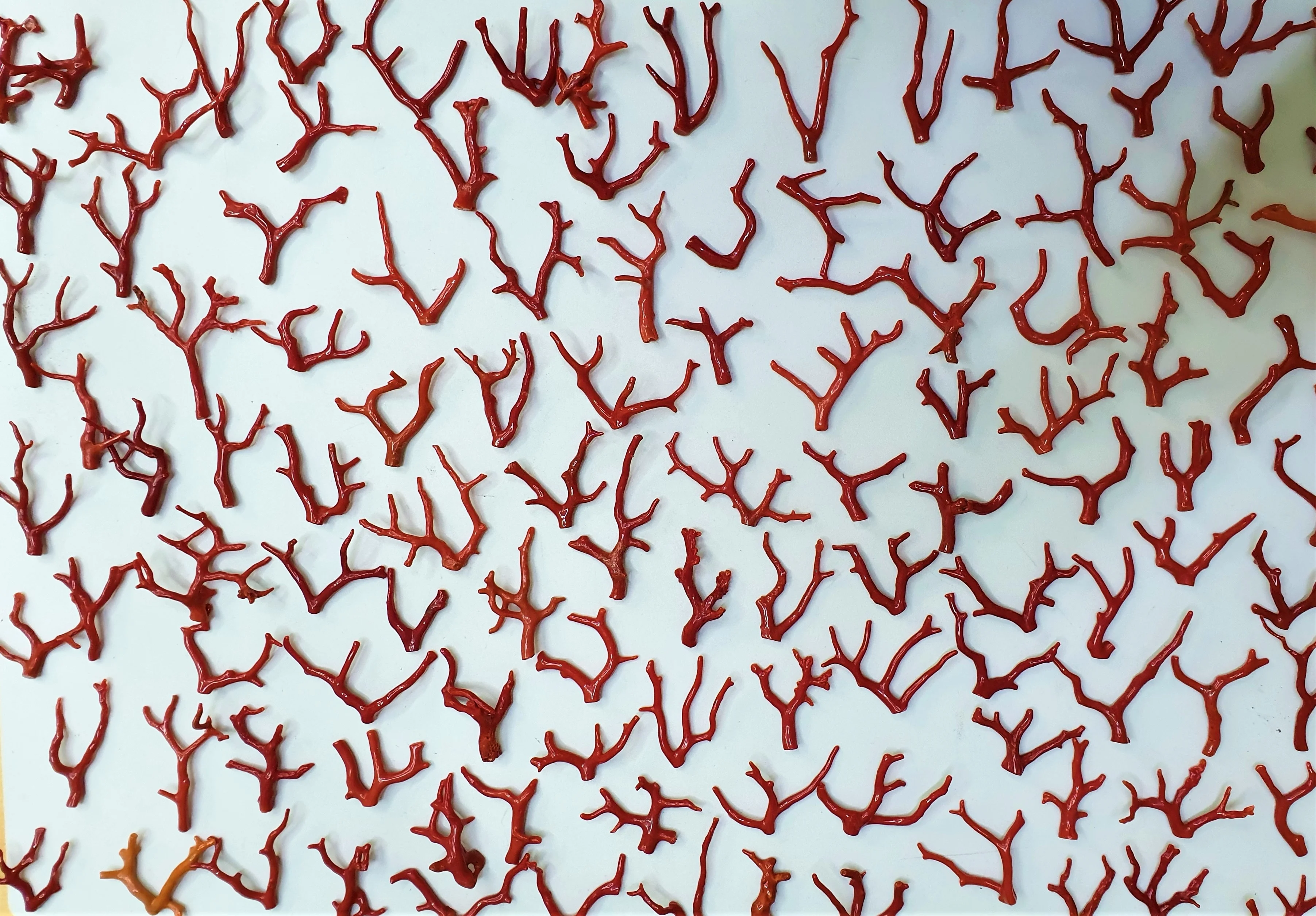 RED ITALIAN CORAL BRANCHES MD SIZE