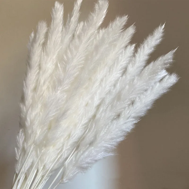 Factory price Small White Natural Dried Reed Pampas Grass For Decoration