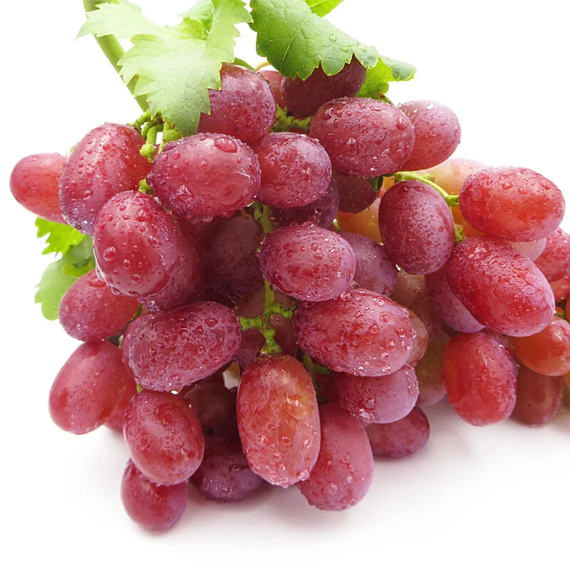 
chinese grape red grape red grape supplier 