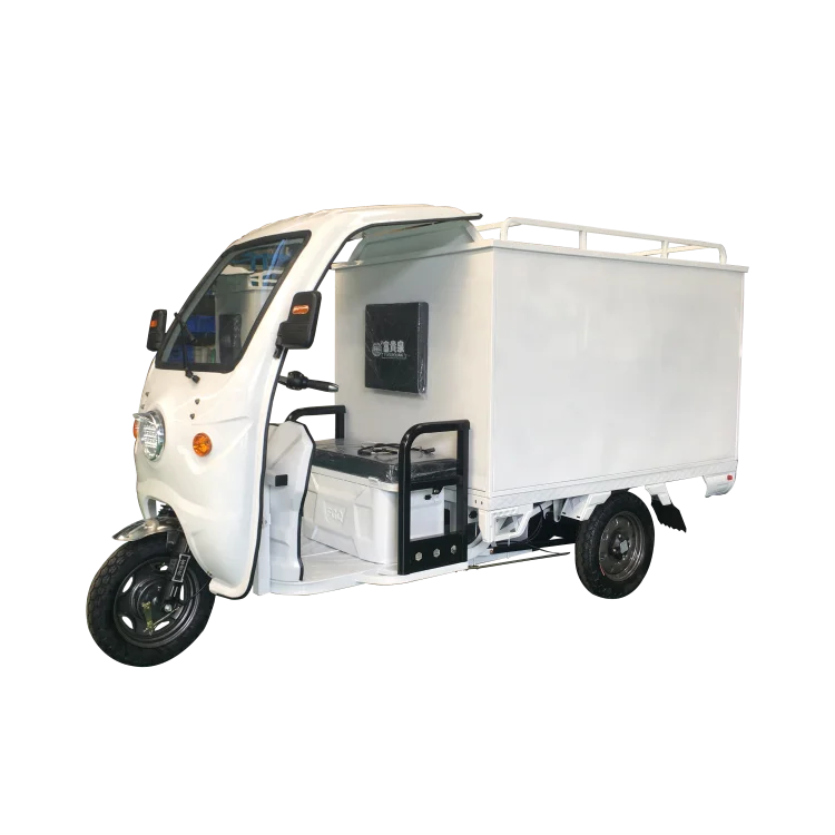 Big Box E-trike for Delivery  Heavy Loading Capacity Enclosed Rickshaw for Transportation with Cheap Price Electric Tricycle