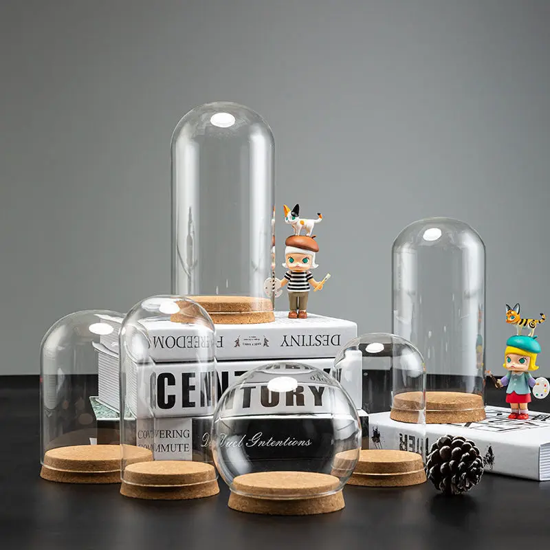 Hot Sale Cheap Large Glass Cloche Dome Bell Jar Display Stand Cover Terrarium Bottle with Cork Base for DIY Decor Glass Dome