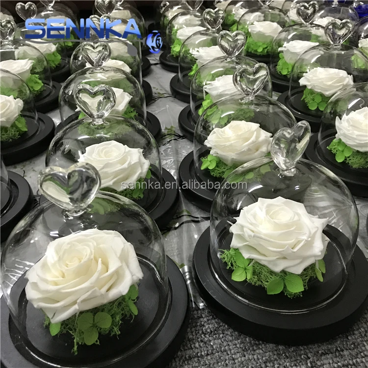 Freeze Dried Rose Petals perfectly preserved flower in mini glass dome