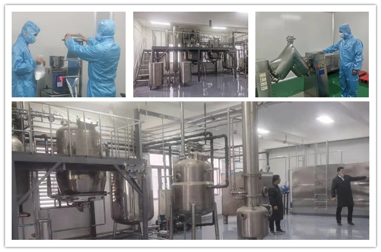 OEM органический экстракт Львиной грины гриба льва грива капсулы грибов