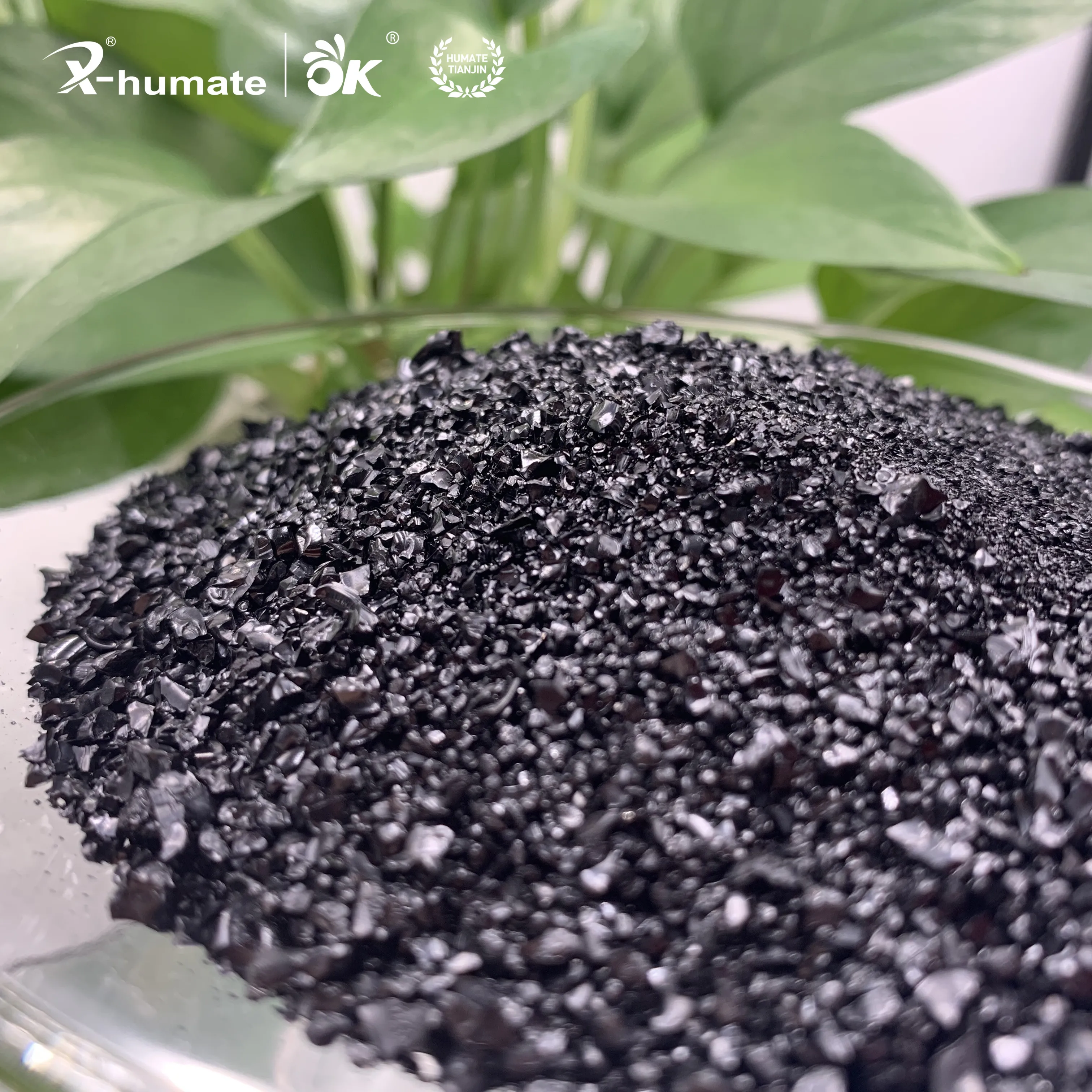 X-humate ISO Factory Supply Mineral Source Potassium Fulvic Acid Granular