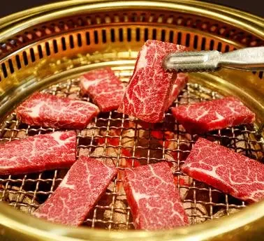 Cenhot High-capacity Restaurant Indoor Smokeless Yakitori Barbecue Grill
