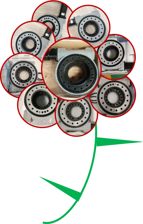 Se9 Single Worm Gear Slewing Bearing for Solar Tracker