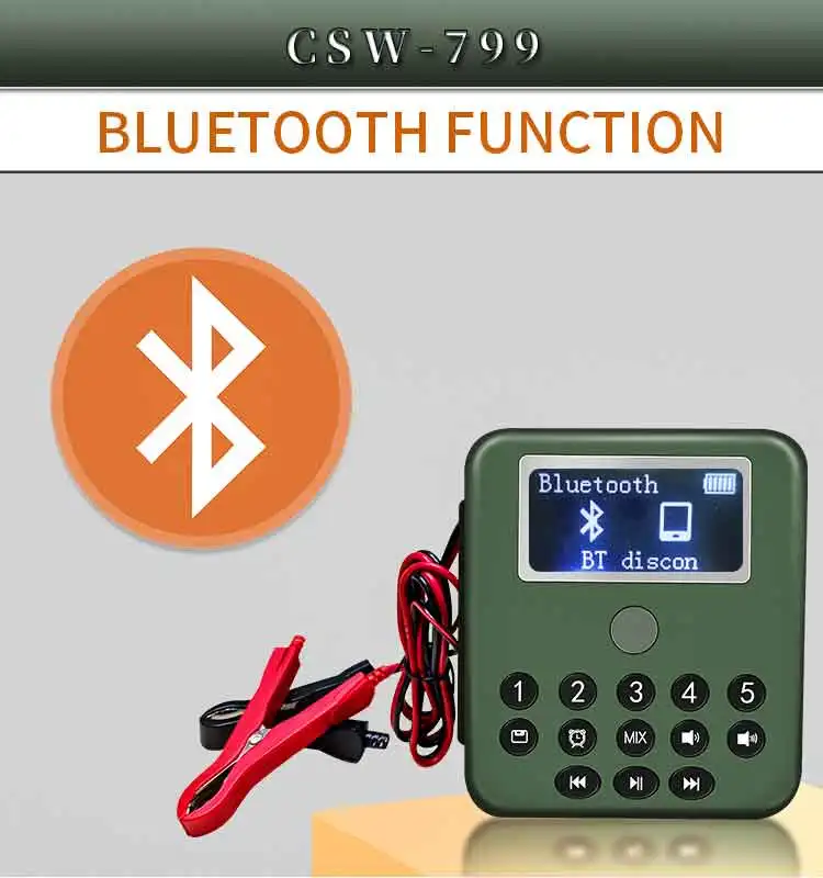 750CSW-799_11 - .jpg