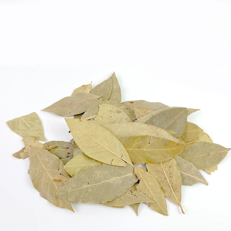 New Crop Fd Spices Business Bay Leaf Export Ad Herb Bay Leaf Extract  Curry Powder Premium Dry Bay Leaves