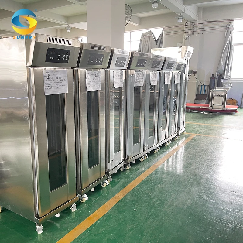 High Quality Professional Electric Oven with Refrigerated Bread Proofer for Sale