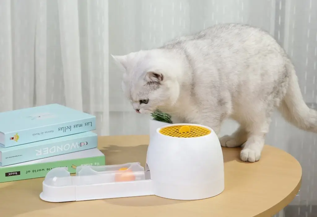 Игрушка для кошек игрушечная дорожка с шариками и мисками травы еда вода интерактивные игрушки