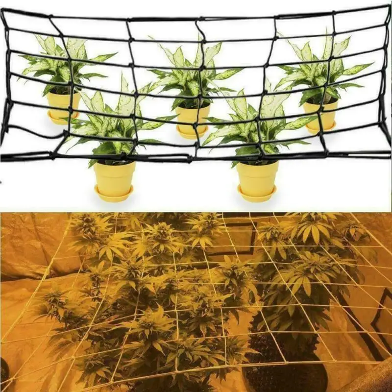 IGH-BR015-2-Plant Net