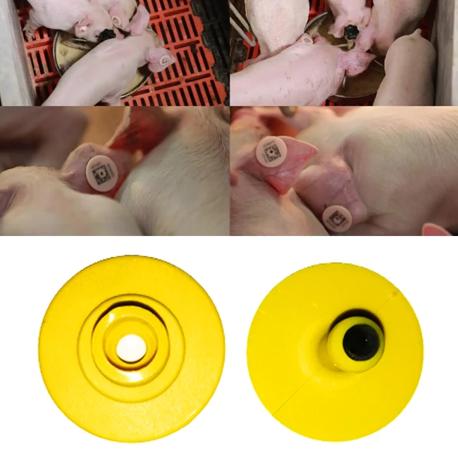New Livestock Farm Equipment TPU Cow Ear Tags for Pig Sheep Cattle Identification