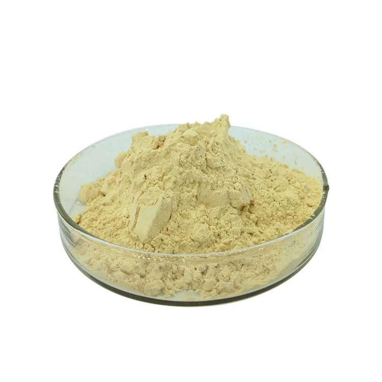
High Quality Pure Natural Apricot Juice Powder 