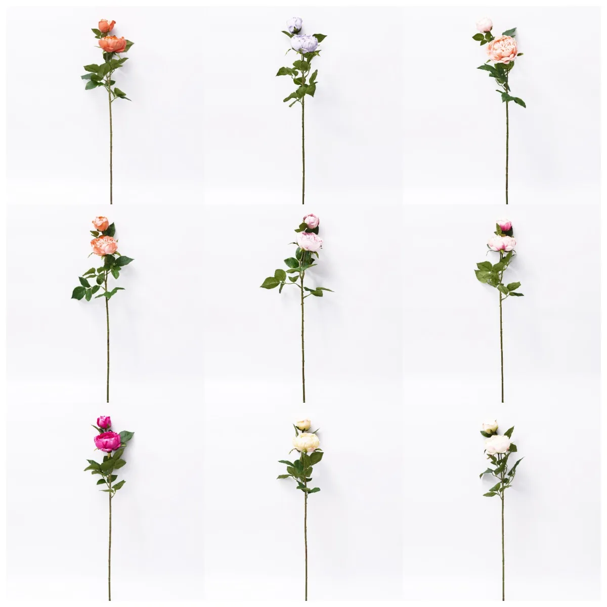 2022 Hight quality artificial champagne rose for wedding decor or  wall decor