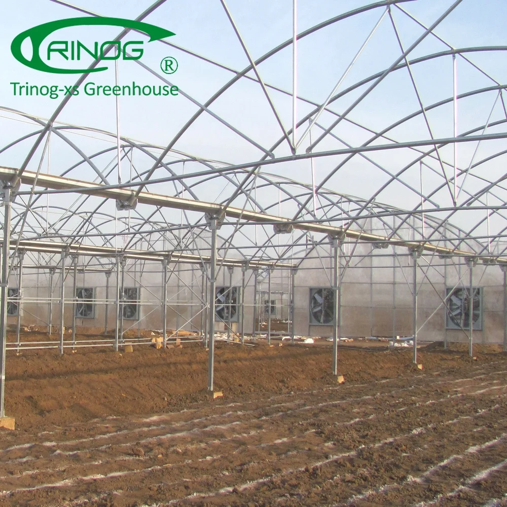 Agricultural A frame vertical lettuce hydroponics greenhouse with fertilizer