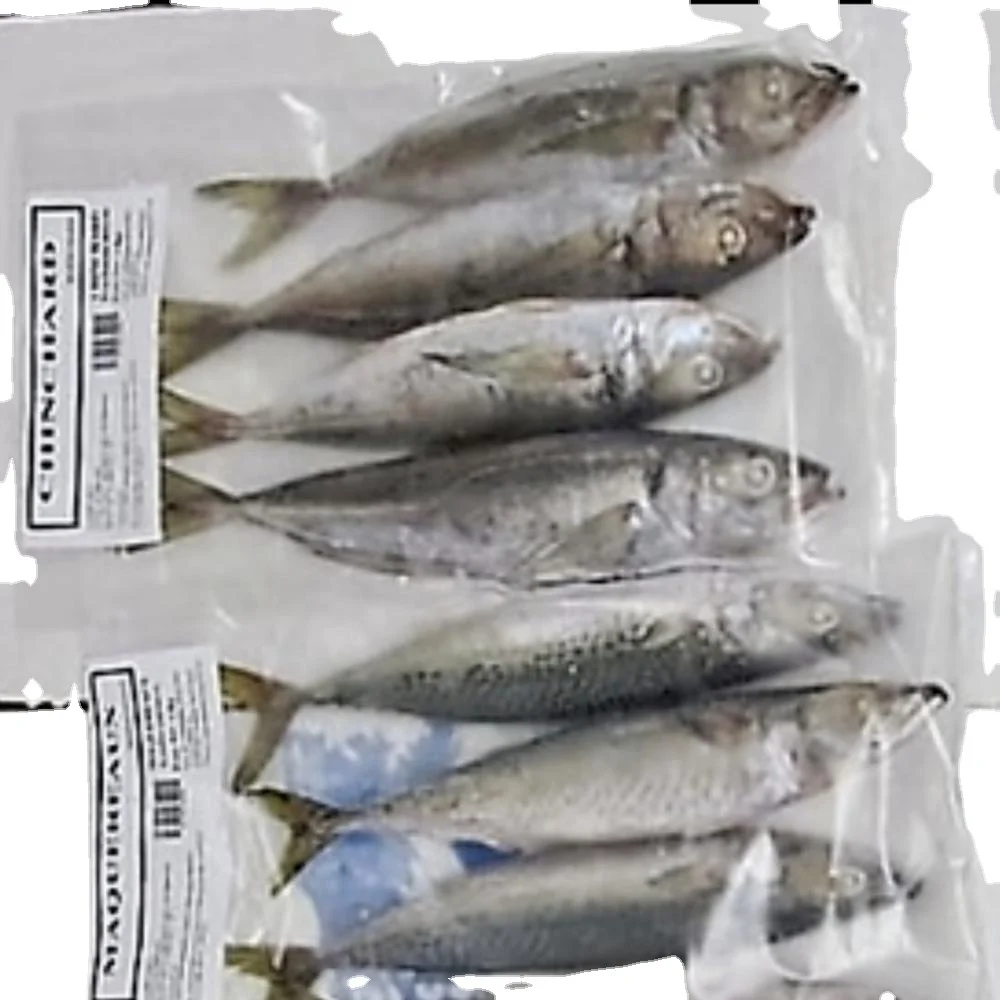 
frozen sardine 