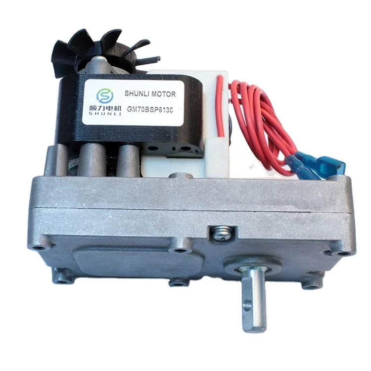 Shunli dc gear motor 120V/220v low rpm high torque  motor ac