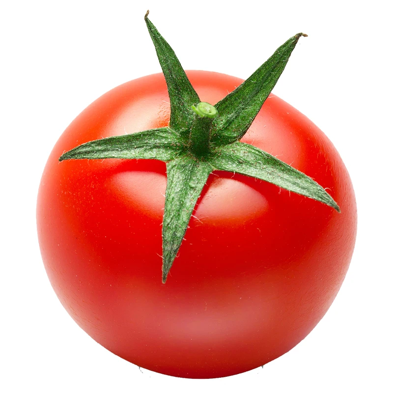 New China Juicy Manufacturer Certified Sweet Tomatoes In Large Quantity Packs