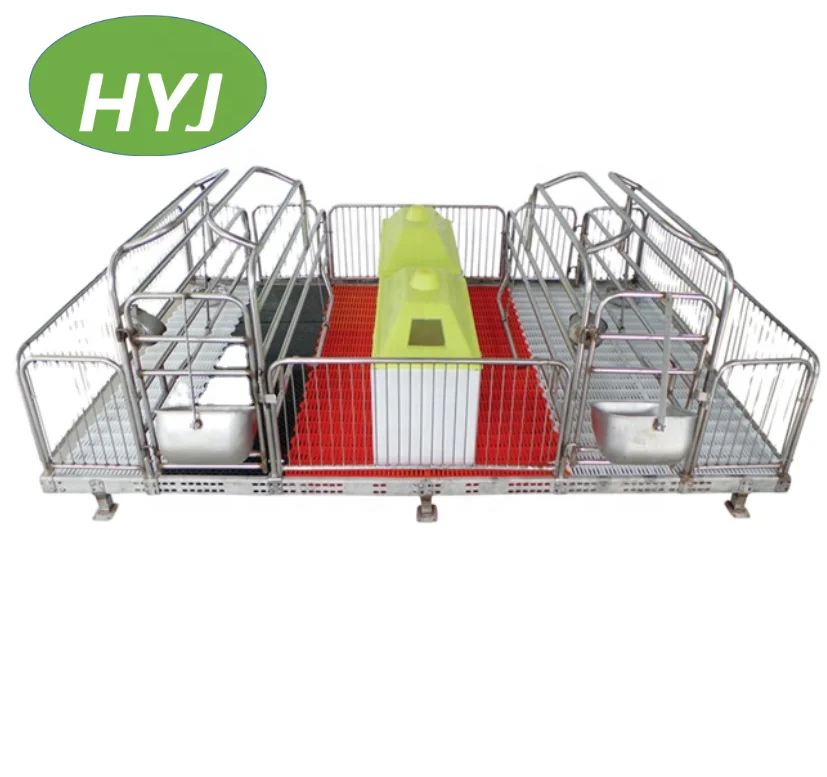 Popular Automatic Big Pig Hopper Feeder For Raising Delivery Production With Non Corrosion Resistance Crates