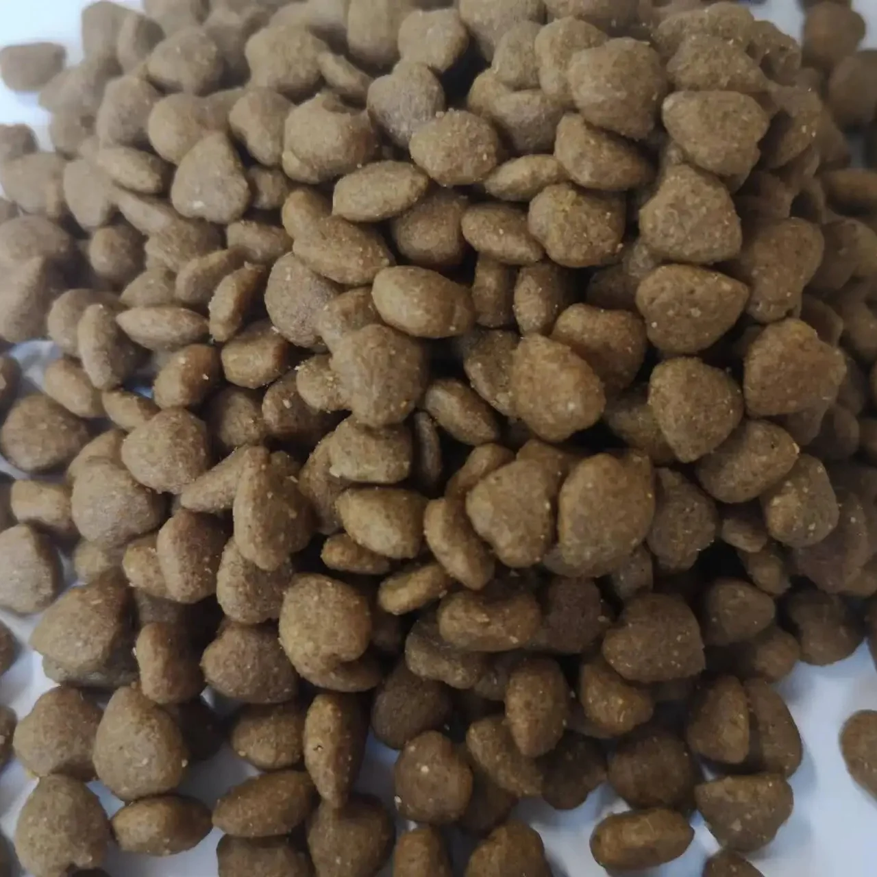 Cheap Hot Selling  OEM ODM Customized Bulk  Wholesale China Factory High Protein Good Flavor Natural Kibble Puppy  Dog Food
